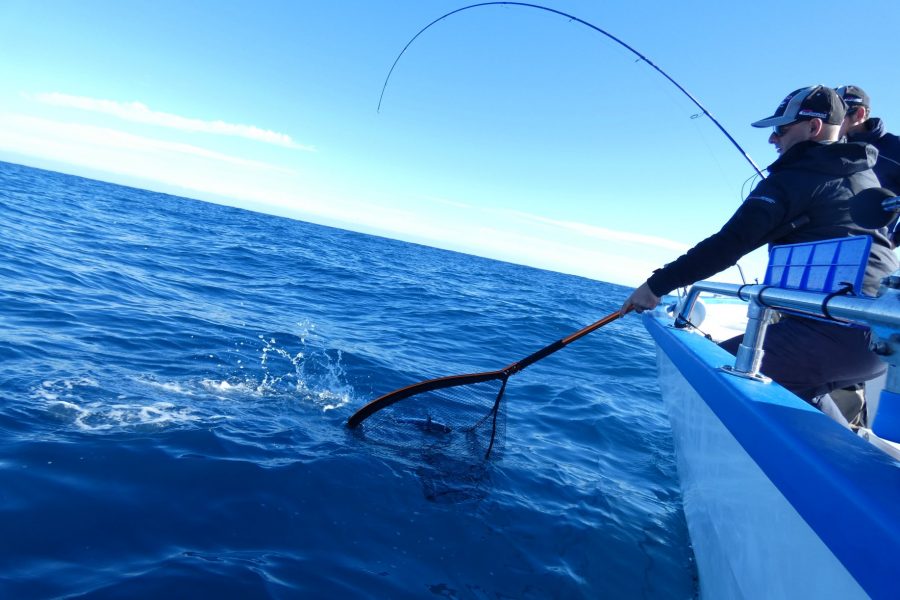 Initiation pêche en mer